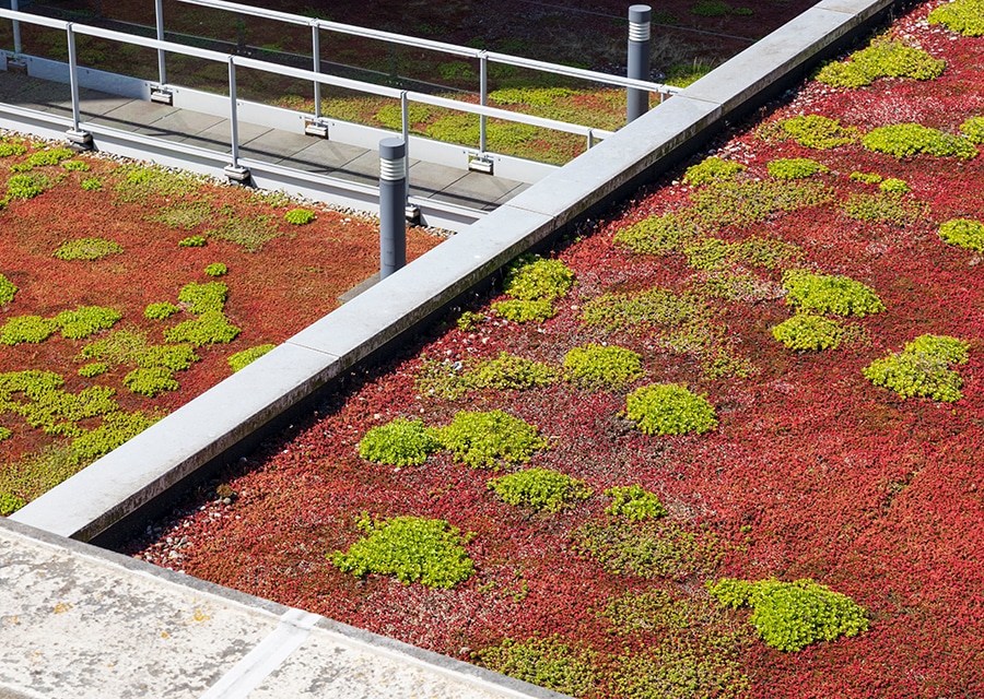 Blue Roofs & Green Roofs