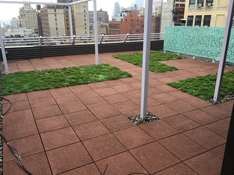 147 West 22nd Street, New York, NY 10011 – Green Roof